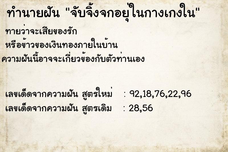 ทำนายฝันจับจิ้งจกอยุ่ในกางเกงใน ทำนายฝันทำนายฝันจับจิ้งจกอยุ่ในกางเกงใน