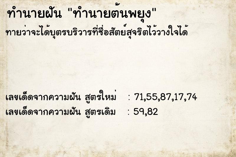 ทำนายฝันทำนายต้นพยุง ทำนายฝันทำนายฝันทำนายต้นพยุง