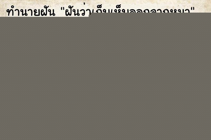 ทำนายฝัน ฝันว่าเก็บเห็บออกจากหมา ทำนายฝัน ฝันว่าเก็บเห็บออกจากหมา