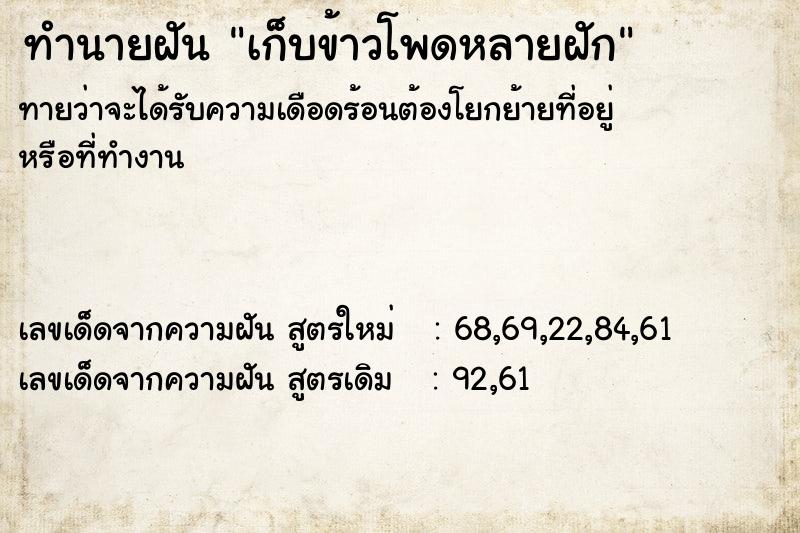 ทำนายฝันเก็บข้าวโพดหลายฝัก ทำนายฝันทำนายฝันเก็บข้าวโพดหลายฝัก
