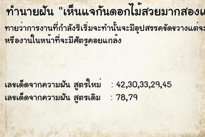 ทำนายฝันทำนายฝันเห็นแจกันดอกไม้สวยมากสองแจกัน