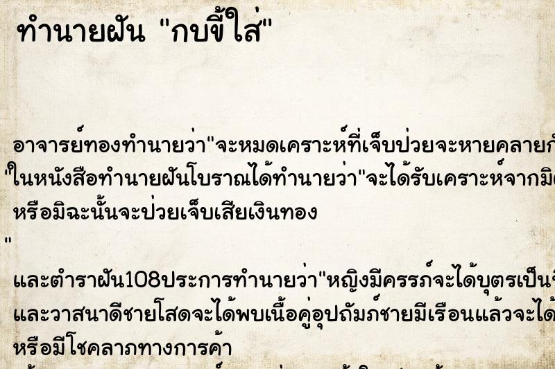 ทำนายฝัน กบขี้ใส่