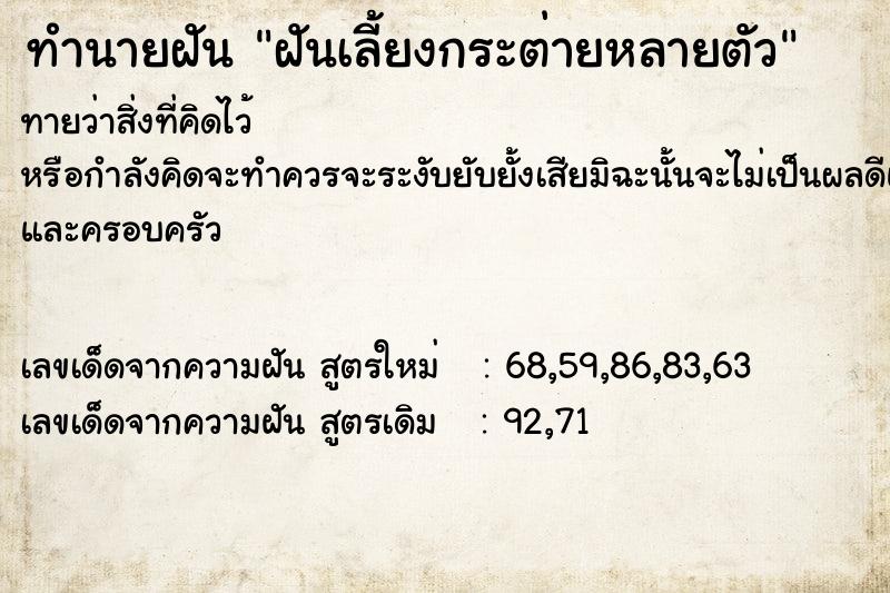 ทำนายฝันฝันเลี้ยงกระต่ายหลายตัว ทำนายฝันทำนายฝันฝันเลี้ยงกระต่ายหลายตัว