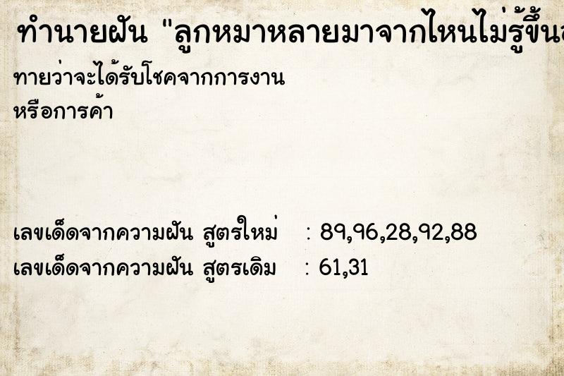 ทำนายฝันทำนายฝันลูกหมาหลายมาจากไหนไม่รู้ขึ้นอยู่บนบ้าน