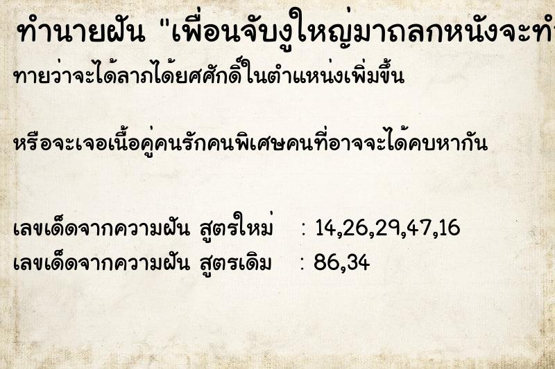 ทำนายฝันทำนายฝันเพื่อนจับงูใหญ่มาถลกหนังจะทำกับข้าวให้กิน