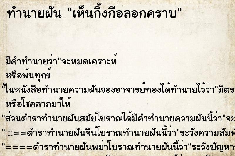 ทำนายฝัน เห็นกิ้งกือลอกคราบ ทำนายฝัน เห็นกิ้งกือลอกคราบ