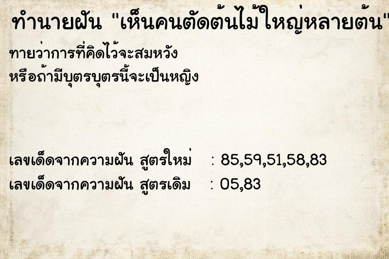 ทำนายฝันเห็นคนตัดต้นไม้ใหญ่หลายต้น ทำนายฝันทำนายฝันเห็นคนตัดต้นไม้ใหญ่หลายต้น