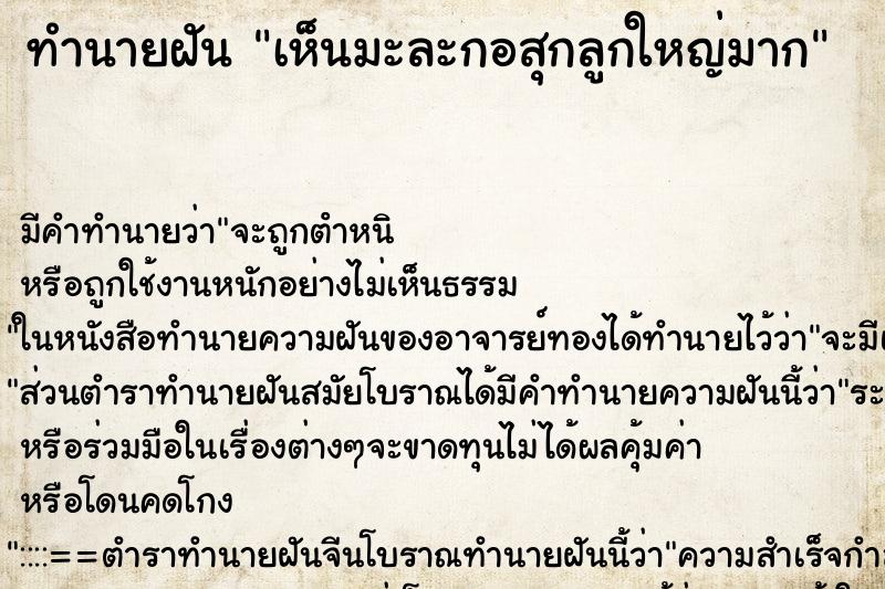 ทำนายฝัน เห็นมะละกอสุกลูกใหญ่มาก ทำนายฝัน เห็นมะละกอสุกลูกใหญ่มาก