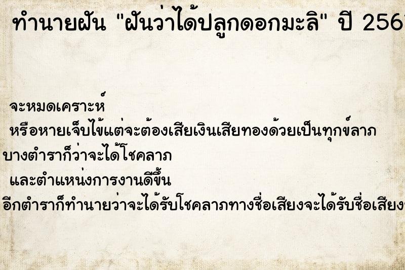 ทำนายฝันทำนายฝันฝันว่าได้ปลูกดอกมะลิ