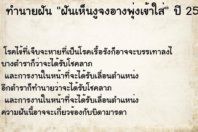 ทำนายฝันทำนายฝันฝันเห็นงูจงอางพุ่งเข้าใส่