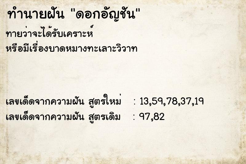 ทำนายฝันd87406a31968891796748b0886597522ดอกอัญชัน ทำนายฝันทำนายฝันd87406a31968891796748b0886597522ดอกอัญชัน