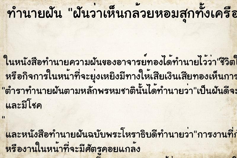 ทำนายฝันฝันว่าเห็นกล้วยหอมสุกทั้งเครือ ทำนายฝันทำนายฝันฝันว่าเห็นกล้วยหอมสุกทั้งเครือ