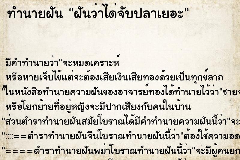 ทำนายฝันทำนายฝันฝันว่าได่จับปลาเยอะ