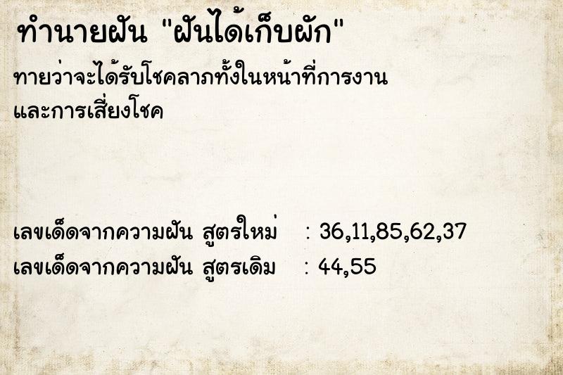 ทำนายฝันทำนายฝันฝันได้เก็บผัก