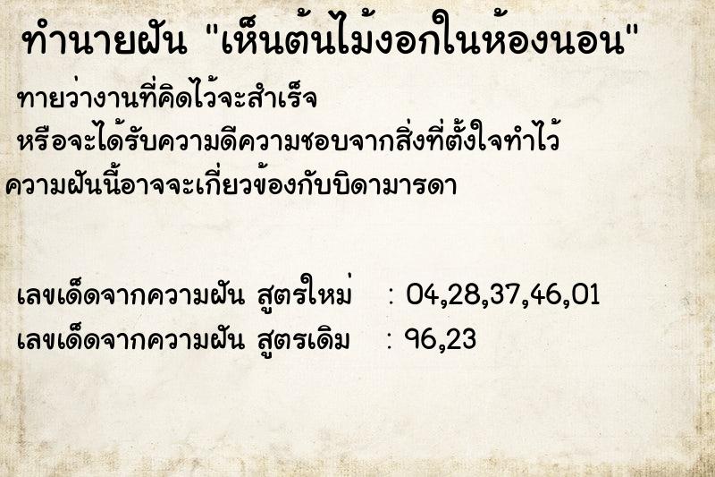 ทำนายฝัน เห็นต้นไม้งอกในห้องนอน ทำนายฝัน เห็นต้นไม้งอกในห้องนอน