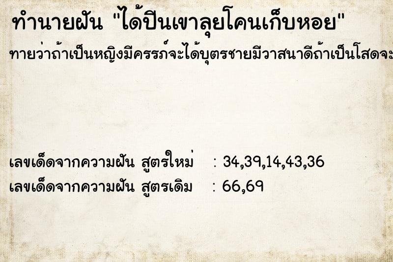 ทำนายฝันได้ปีนเขาลุยโคนเก็บหอย ทำนายฝันทำนายฝันได้ปีนเขาลุยโคนเก็บหอย