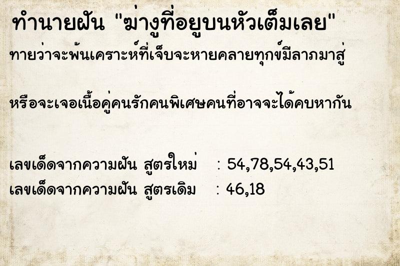 ทำนายฝันทำนายฝันฆ่างูที่อยูบนหัวเต็มเลย