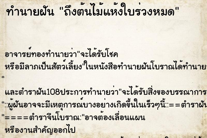 ทำนายฝันทำนายฝันถึงต้นไม้แห้งใบร่วงหมด