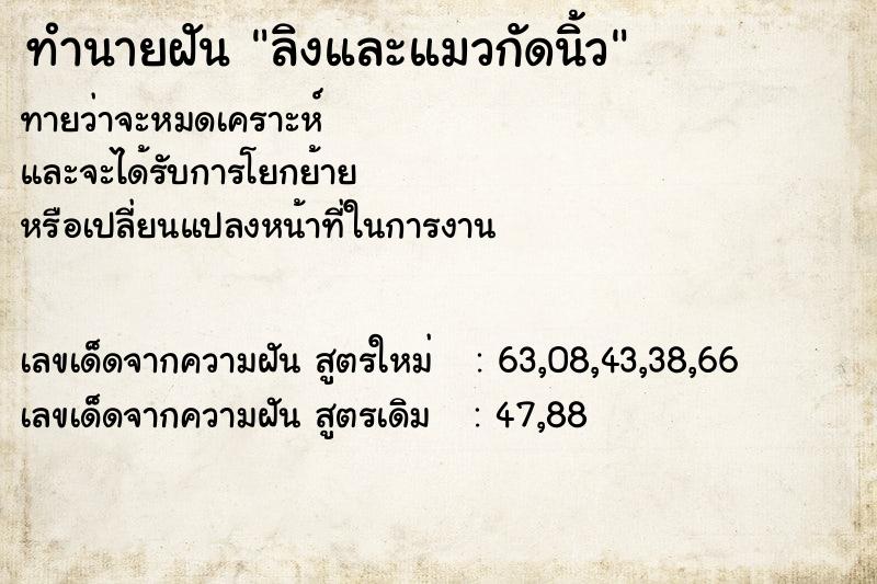 ทำนายฝันลิงและแมวกัดนิ้ว ทำนายฝันทำนายฝันลิงและแมวกัดนิ้ว
