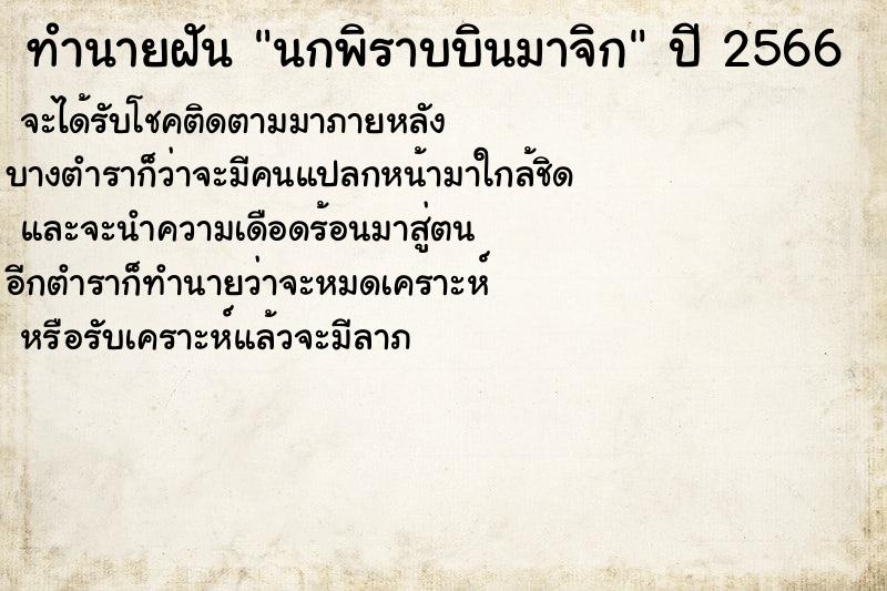 ทำนายฝันนกพิราบบินมาจิก ทำนายฝันทำนายฝันนกพิราบบินมาจิก