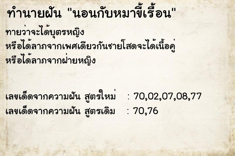 ทำนายฝันนอนกับหมาขี้เรื้อน ทำนายฝันทำนายฝันนอนกับหมาขี้เรื้อน