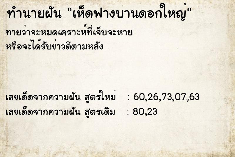 ทำนายฝัน เห็ดฟางบานดอกใหญ่ ทำนายฝัน เห็ดฟางบานดอกใหญ่