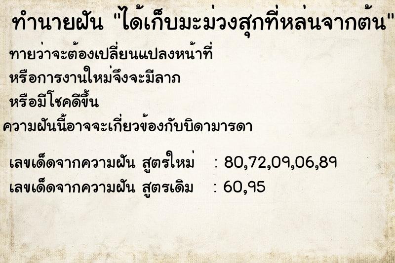 ทำนายฝัน ได้เก็บมะม่วงสุกที่หล่นจากต้น ทำนายฝัน ได้เก็บมะม่วงสุกที่หล่นจากต้น