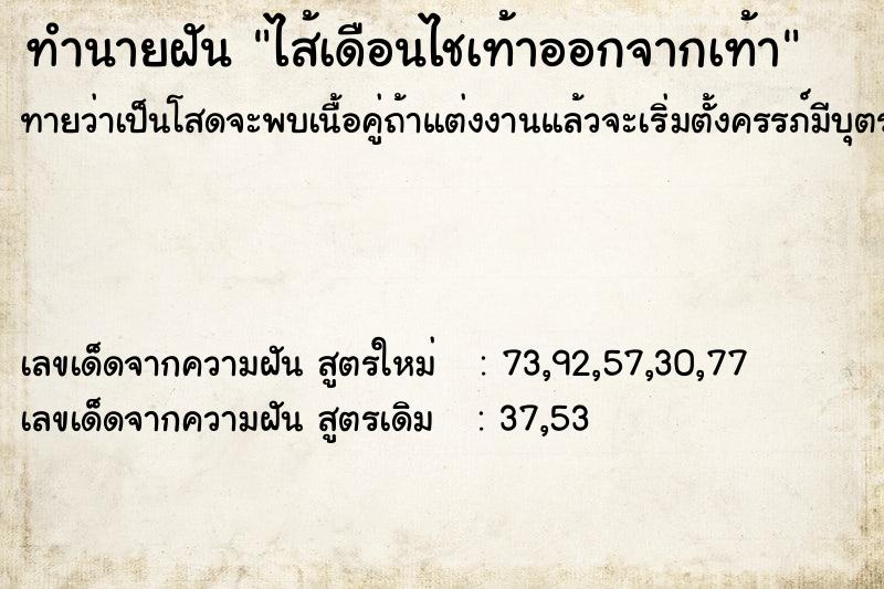 ทำนายฝันทำนายฝันไส้เดือนไชเท้าออกจากเท้า