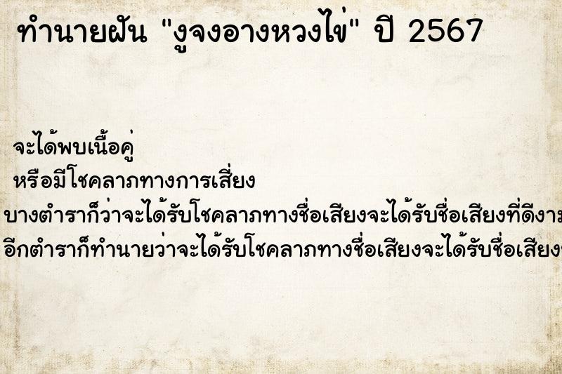 ทำนายฝัน งูจงอางหวงไข่ แม่นๆ ฟรี ด้วยตำราหนังสือทำนายฝันโบราณ ทำนายฝันงูจงอางหวงไข่