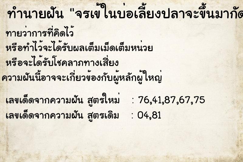 ทำนายฝันทำนายฝันจรเข้ในบ่อเลี้ยงปลาจะขึ้นมากัดหลาน