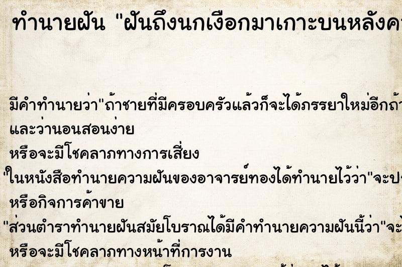 ทำนายฝันฝันถึงนกเงือกมาเกาะบนหลังคาบ้าน ทำนายฝันทำนายฝันฝันถึงนกเงือกมาเกาะบนหลังคาบ้าน