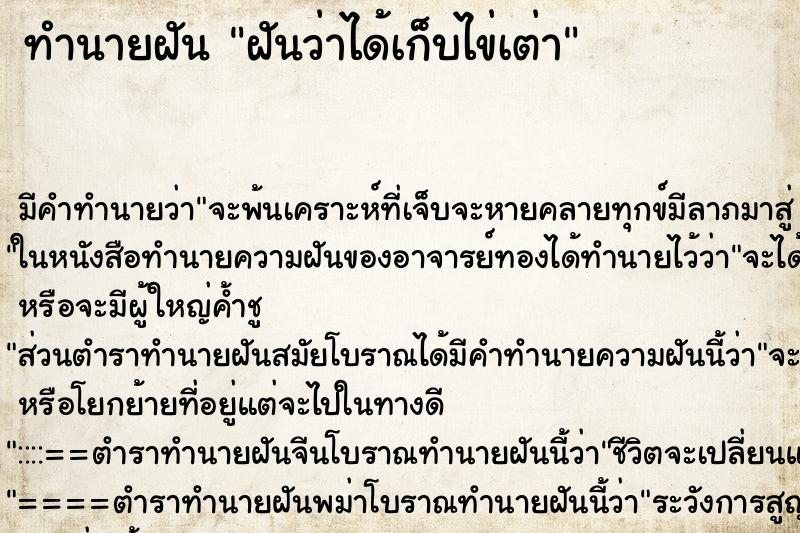 ทำนายฝัน ฝันว่าได้เก็บไข่เต่า ตำราโบราณ แม่นที่สุดในโลก