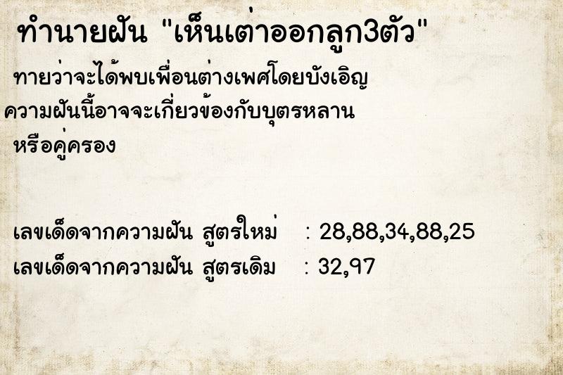 ทำนายฝัน เห็นเต่าออกลูก3ตัว