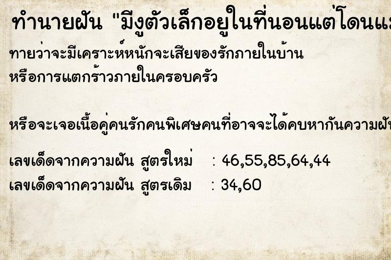 ทำนายฝันทำนายฝันมีงูตัวเล็กอยูในที่นอนแต่โดนแมวตัวเล็กไล่หนีไป