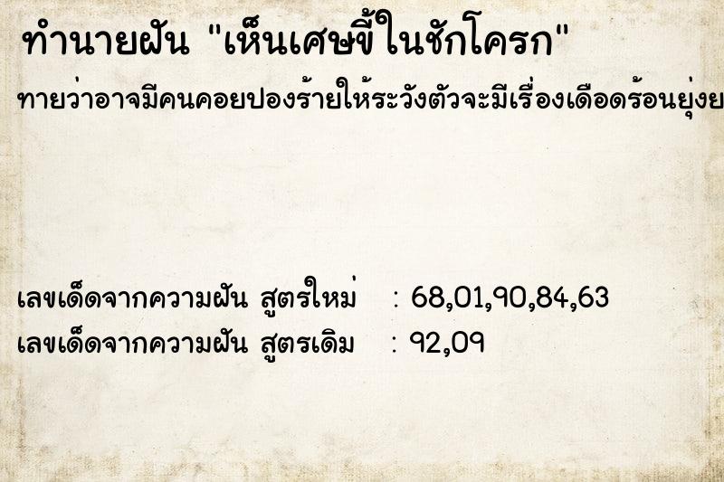 ทำนายฝันทำนายฝันเห็นเศษขี้ในชักโครก