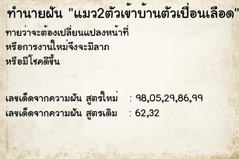 ทำนายฝันทำนายฝันแมว2ตัวเข้าบ้านตัวเปื่อนเลือด