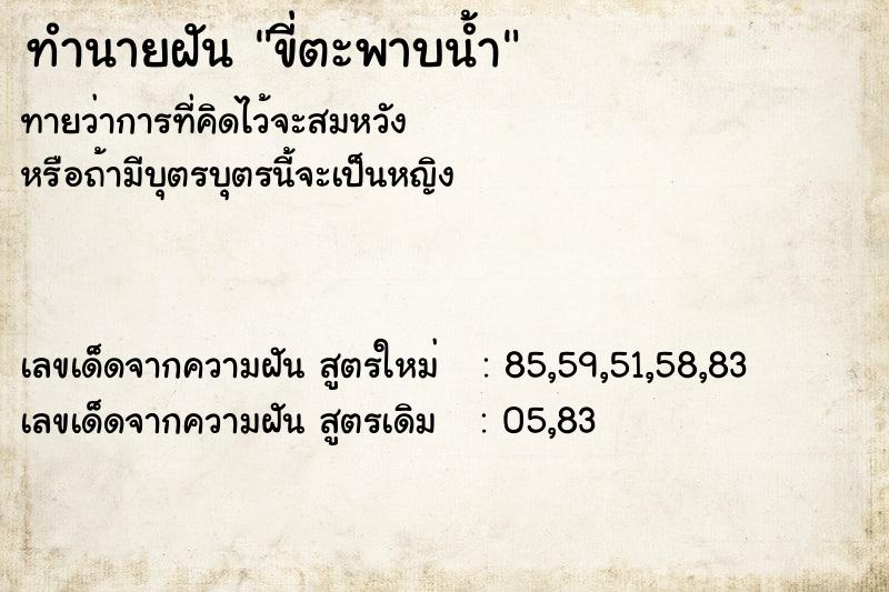 ทำนายฝันขี่ตะพาบน้ำ ทำนายฝันทำนายฝันขี่ตะพาบน้ำ