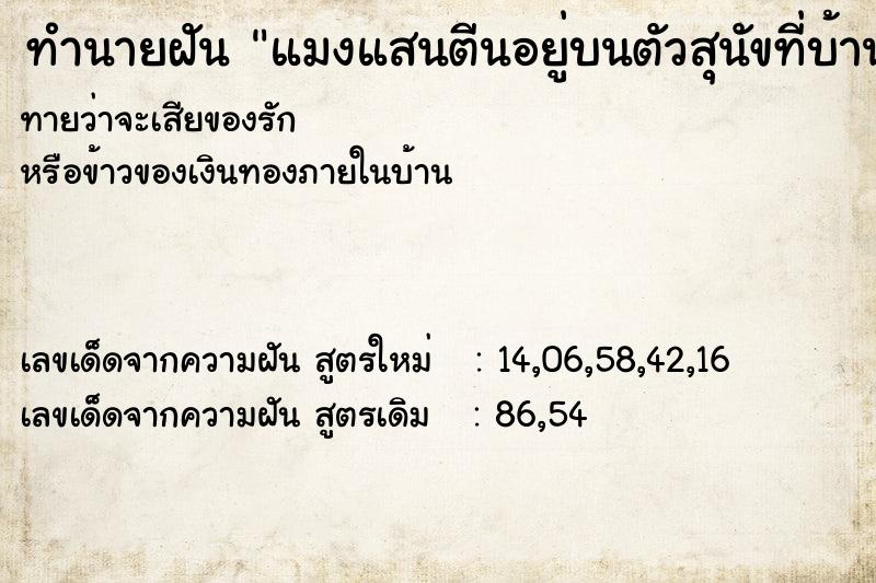 ทำนายฝันทำนายฝันแมงแสนตีนอยู่บนตัวสุนัขที่บ้าน