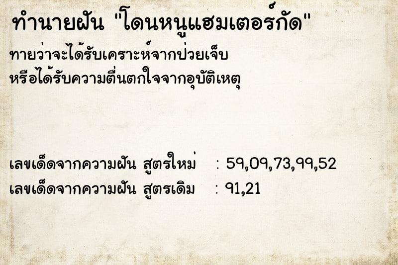 ทำนายฝันทำนายฝันโดนหนูแฮมเตอร์กัด