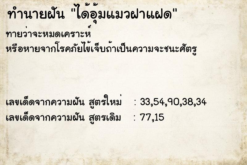 ทำนายฝันทำนายฝันได้อุ้มแมวฝาแฝด