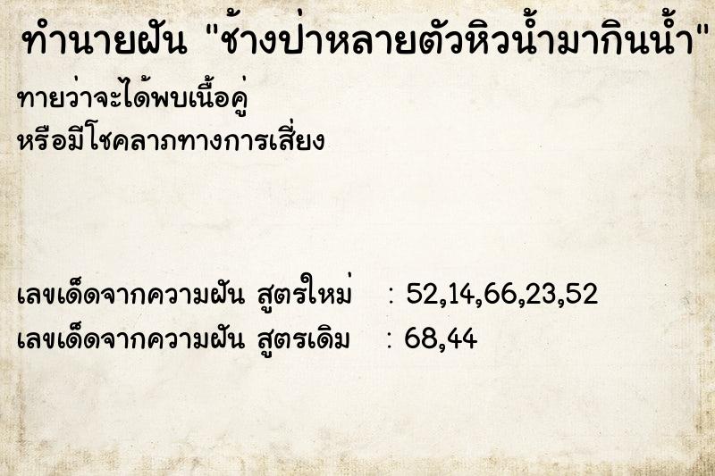 ทำนายฝันช้างป่าหลายตัวหิวน้ำมากินน้ำ ทำนายฝันทำนายฝันช้างป่าหลายตัวหิวน้ำมากินน้ำ