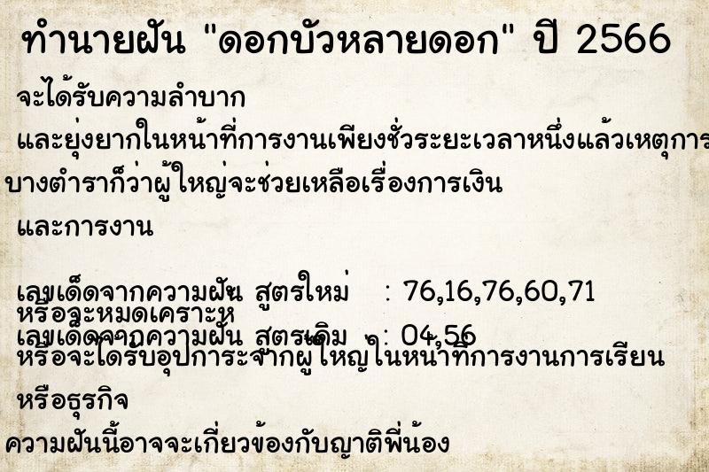 ทำนายฝัน ดอกบัวหลายดอก ทำนายฝัน ดอกบัวหลายดอก