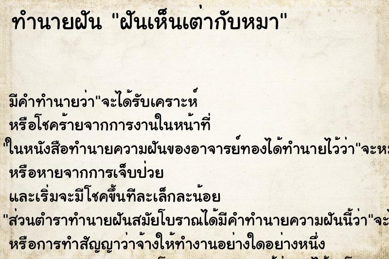 ทำนายฝันฝันเห็นเต่ากับหมา ทำนายฝันทำนายฝันฝันเห็นเต่ากับหมา