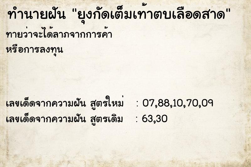ทำนายฝันยุงกัดเต็มเท้าตบเลือดสาด ทำนายฝันทำนายฝันยุงกัดเต็มเท้าตบเลือดสาด
