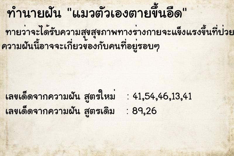 ทำนายฝันทำนายฝันแมวตัวเองตายขึ้นอืด