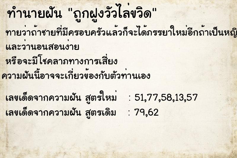 ทำนายฝันถูกฝูงวัวไล่ขวิด ทำนายฝันทำนายฝันถูกฝูงวัวไล่ขวิด