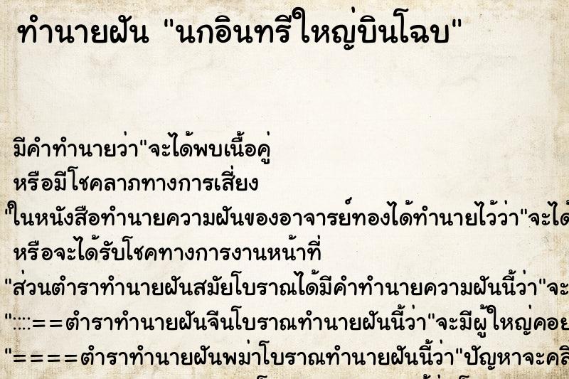 ทำนายฝันนกอินทรีใหญ่บินโฉบ ทำนายฝันทำนายฝันนกอินทรีใหญ่บินโฉบ