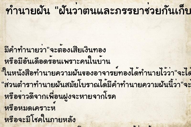 ทำนายฝัน ฝันว่าตนและภรรยาช่วยกันเก็บเห็ด ทำนายฝัน ฝันว่าตนและภรรยาช่วยกันเก็บเห็ด