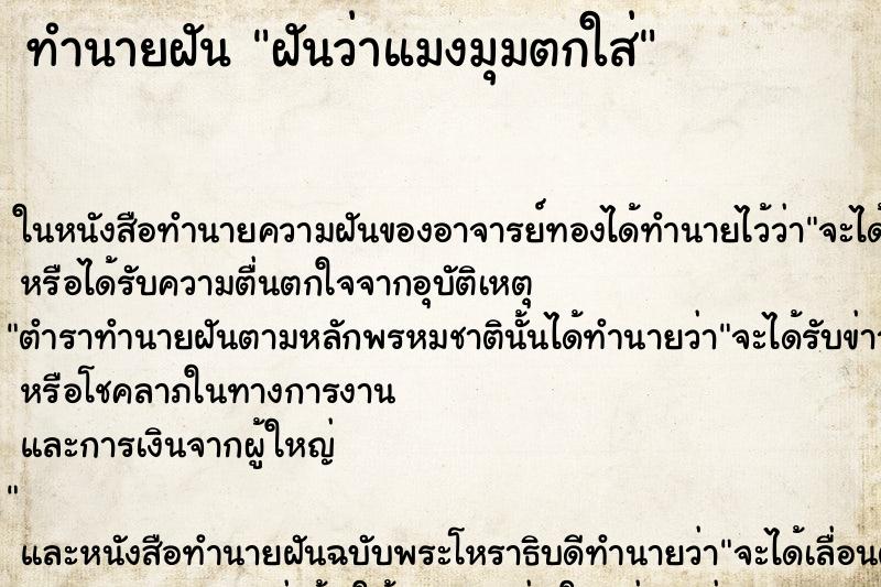 ทำนายฝันฝันว่าแมงมุมตกใส่ ทำนายฝันทำนายฝันฝันว่าแมงมุมตกใส่