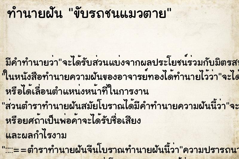 ทำนายฝัน ขับรถชนแมวตาย ทำนายฝัน ขับรถชนแมวตาย